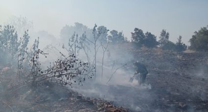 México “en llamas”: incendios forestales comienzan a llegar a la CDMX