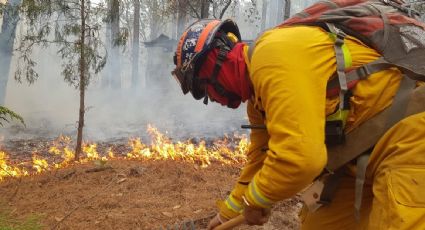 México “en llamas”: ¿por qué hay tantos incendios forestales?