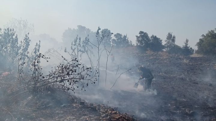 México “en llamas”: incendios forestales comienzan a llegar a la CDMX