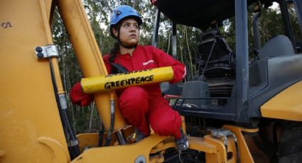 Tren Maya: activistas se encadenan a máquinas para exigir el fin de la obra