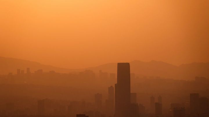 Contingencia Ambiental: ¿Qué daños puede causar a la salud el exceso de ozono?