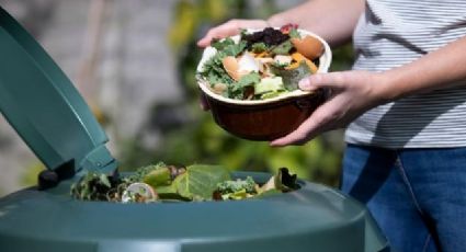 ¿Odias desperdiciar comida? Así puedes evitarlo y de paso ayudar a otros