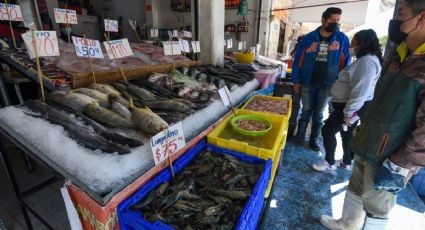 Cuaresma: Estos son los precios de pescado más barato, según Profeco