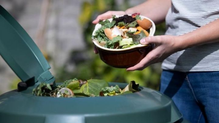 ¿Odias desperdiciar comida? Así puedes evitarlo y de paso ayudar a otros