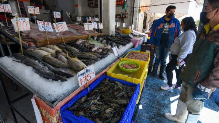 Cuaresma: Estos son los precios de pescado más barato, según Profeco