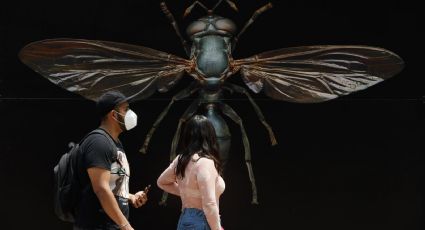 'Insectos gigantes' inundan el Bosque de Chapultepec de México en Semana Santa 2022