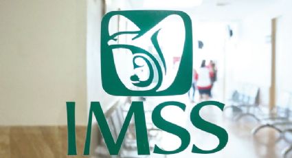 IMSS: ¿Cómo puedo saber si cotizo con mi salario real y no por outsourcing?