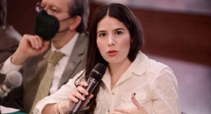 Reforma eléctrica: Partido Verde 'no perdona' a diputada y la expulsa por votar en contra