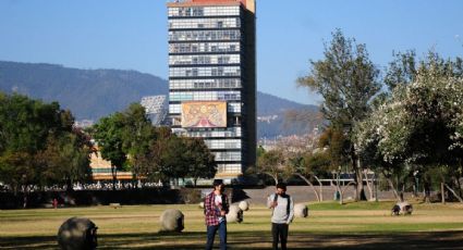 ¿No sabes qué estudiar? Las 10 carreras mejor pagadas en México según el Inegi