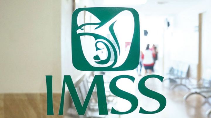 IMSS: ¿Cómo puedo saber si cotizo con mi salario real y no por outsourcing?