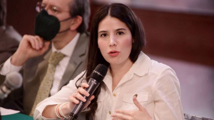 Reforma eléctrica: Partido Verde 'no perdona' a diputada y la expulsa por votar en contra