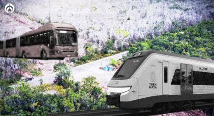 ¿El Tren Maya se pondrá 'chilango'? Un Metrobús y otras alternativas para el tramo 5