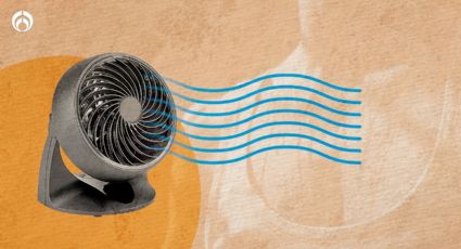 El calor anda "bravo": ¿qué tipo de ventilador me conviene más?