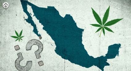 Día Mundial de la Mariguana: ¿En qué estados es legal en México?