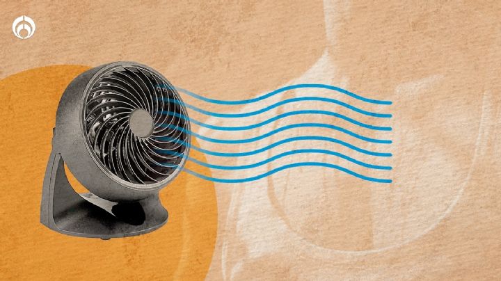 El calor anda "bravo": ¿qué tipo de ventilador me conviene más?