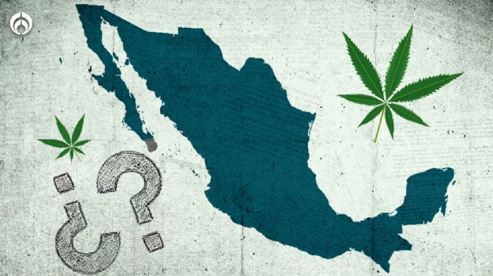 Día Mundial de la Mariguana: ¿En qué estados es legal en México?