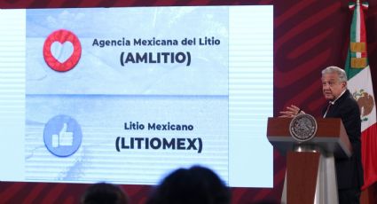 Litio: ¿La empresa 'AMLITIO' será una realidad? Esto dijo el presidente