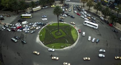 Glorieta de la Palma: ¿Cuál es su historia y por qué quitarán la palmera?