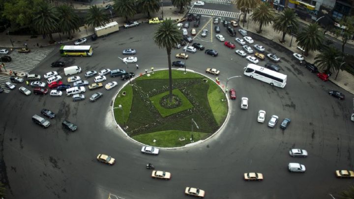 Glorieta de la Palma: ¿Cuál es su historia y por qué quitarán la palmera?