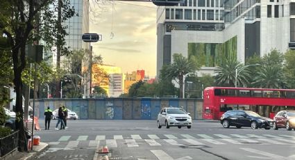 ¡Se fue la palmera! Así luce la Glorieta de la Palma sin su 'joya' (FOTOS)