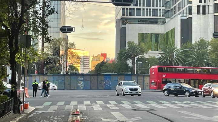 ¡Se fue la palmera! Así luce la Glorieta de la Palma sin su 'joya' (FOTOS)