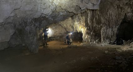 (FOTOS) Tren Maya: Así es el escondite arqueológico del tramo 5 que el INAH no conocía