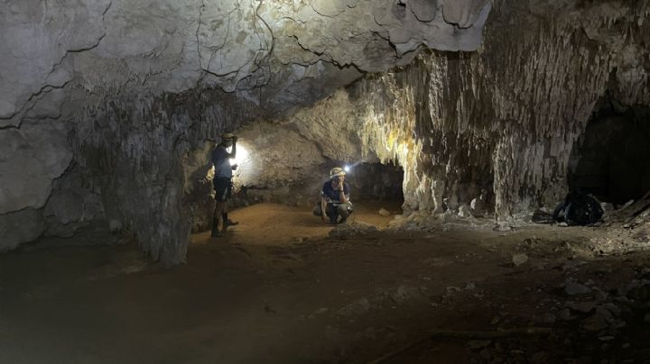 (FOTOS) Tren Maya: Así es el escondite arqueológico del tramo 5 que el INAH no conocía