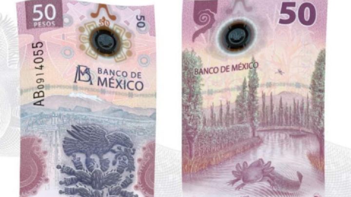 El billete más bonito del mundo ¡es mexicano! Conócelo