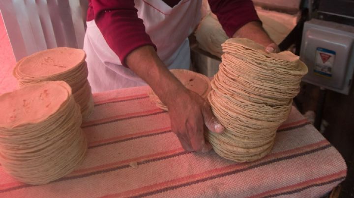 Precio de la tortilla: Esto podrías comprar con lo que cuesta actualmente un kilo