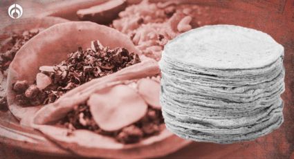 ¿Tortillas "pirata"? Así opera el mercado negro de tortillerías ilegales