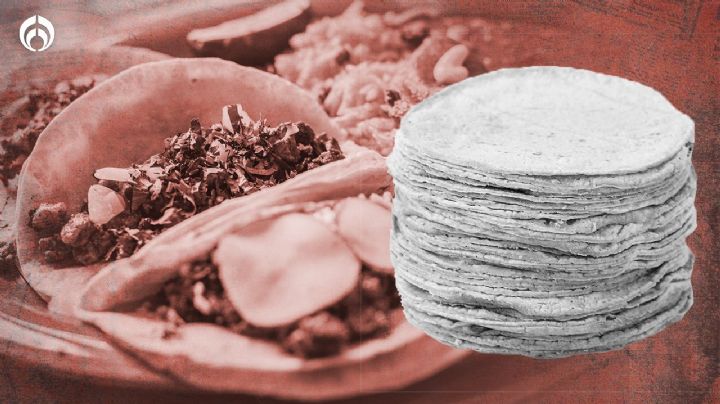 ¿Tortillas "pirata"? Así opera el mercado negro de tortillerías ilegales