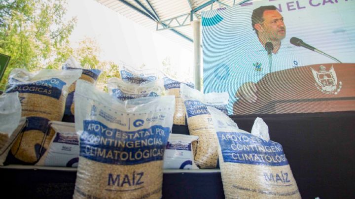 Entrega Gobernador apoyos a productores de la Sierra Gorda queretana