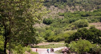 Suman 300 familias desplazadas en El Rosario por narco-mineras.