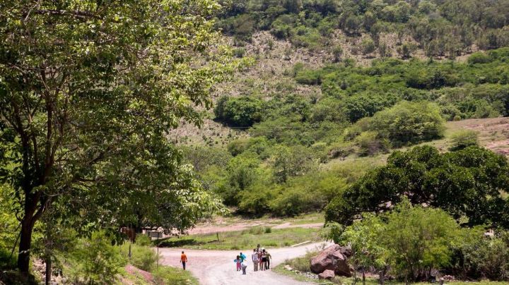 Suman 300 familias desplazadas en El Rosario por narco-mineras.