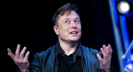 Elon Musk suspende la compra de Twitter... por ¡culpa de los bots!