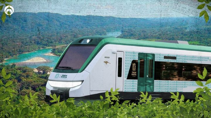 Tren Maya: ¿Cómo va la recuperación de la Selva Lacandona?