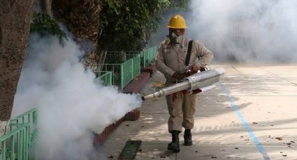 Poza Rica desciende en los índices de contagio de Dengue, Chikungunya y Zika