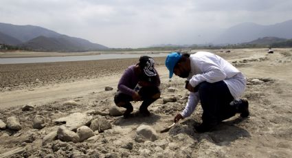 Desaparecidos en México: Fiscalías sólo tienen información en 30% de los casos