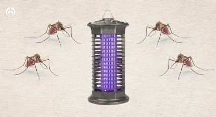 ¡Molestos mosquitos! 3 gadgets para ahuyentarlos