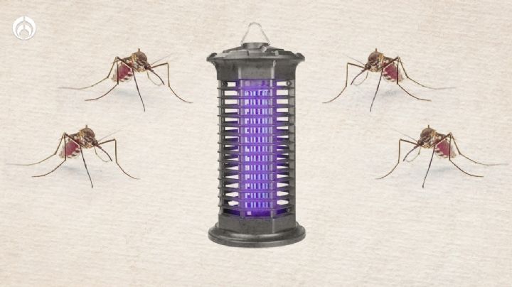 ¡Molestos mosquitos! 3 gadgets para ahuyentarlos