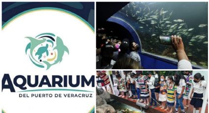 Acuario de Veracruz reabre... como Aquarium: ofrecerá estos nuevos descuentos