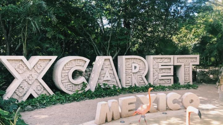 Tren Maya: Grupo Xcaret prefiere pedir perdón que permiso, acusa Gobierno