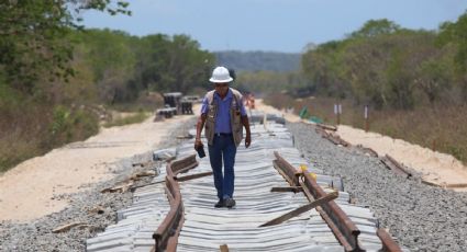 Tren Maya: Tramo 5 Sur será sometido a consulta pública; así puedes participar