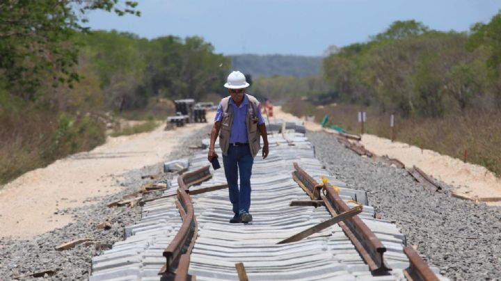 Tren Maya: Tramo 5 Sur será sometido a consulta pública; así puedes participar