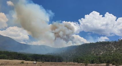 Moviliza incendio forestal en Galeana, Nuevo León