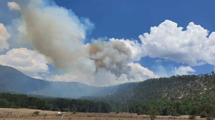 Moviliza incendio forestal en Galeana, Nuevo León