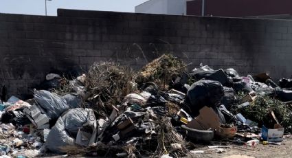 Basurero clandestino a lado de Delegación Municipal