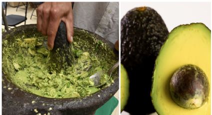 ¡No te quedes con el antojo! Prepara guacamole sin aguacate