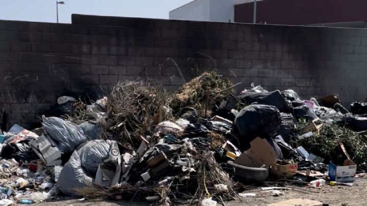 Basurero clandestino a lado de Delegación Municipal