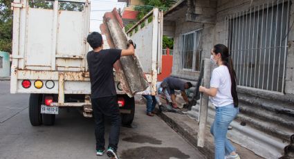 Eliminan criaderos de mosquitos en colonias de Poza Rica